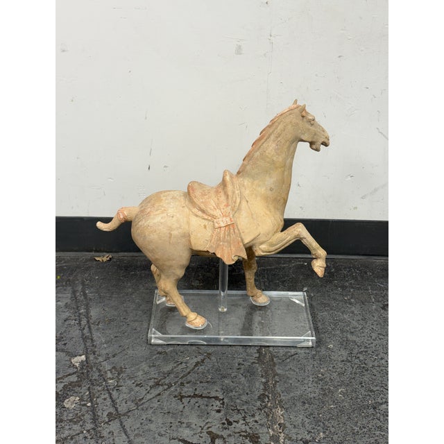 Antique Pottery Tang Dynasty Style Horse + Lucite Stand For Sale In San Francisco - Image 6 of 12