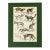 1835 Thomas Brown Hand-Colored Canid Engraving | Archivally Matted 12x16 For Sale