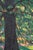 Pierre Borgomano, Tree in Summer, 20th Century, Oil Painting on Canvas For Sale - Image 3 of 10