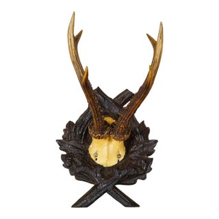 Antique Red Deer Trophy on Carved Plaque, Black Forest, Germany 1900 For Sale