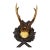 Antique Red Deer Trophy on Carved Plaque, Black Forest, Germany 1900 For Sale