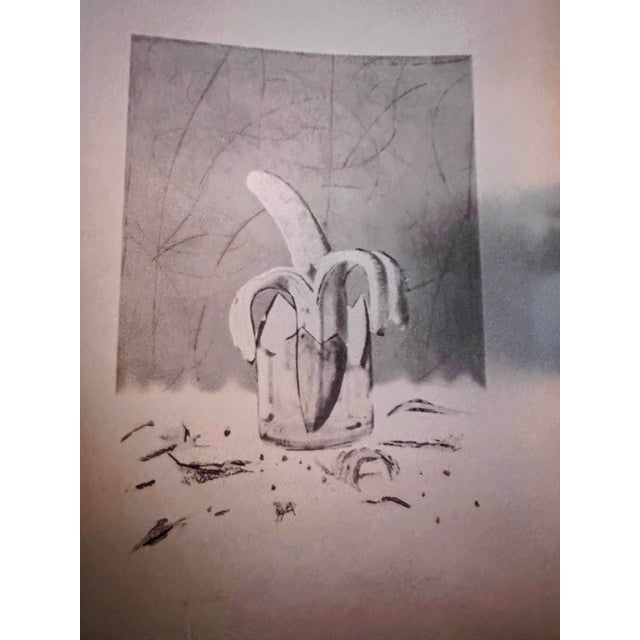 1982 Original Signed James Rosenquist Velum Print and Exhibition Catalog For Sale - Image 11 of 12