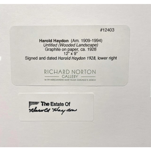 Modern Circa 1920s Graphite on Paper Wooded Landscape by Artist Harold Haydon For Sale - Image 3 of 5