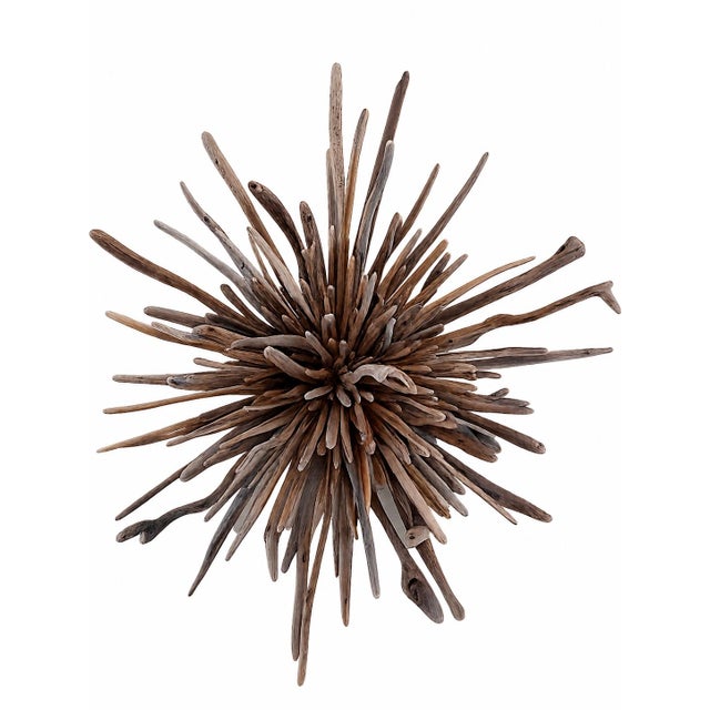 ~155 pieces of mineral-hardened driftwood collected from Rialto Beach, Olympic Peninsula, WA Display: Wall hanging or...