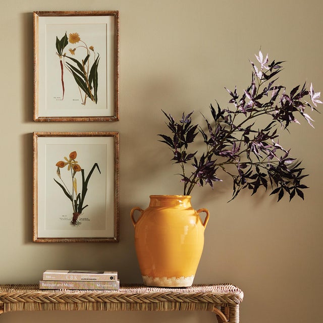 Illustration Assorted Pressed Flower Study St/4 For Sale - Image 3 of 3