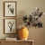 Illustration Assorted Pressed Flower Study St/4 For Sale - Image 3 of 3
