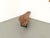 Organic Coffee Table in Poplar, 1990s For Sale - Image 9 of 18