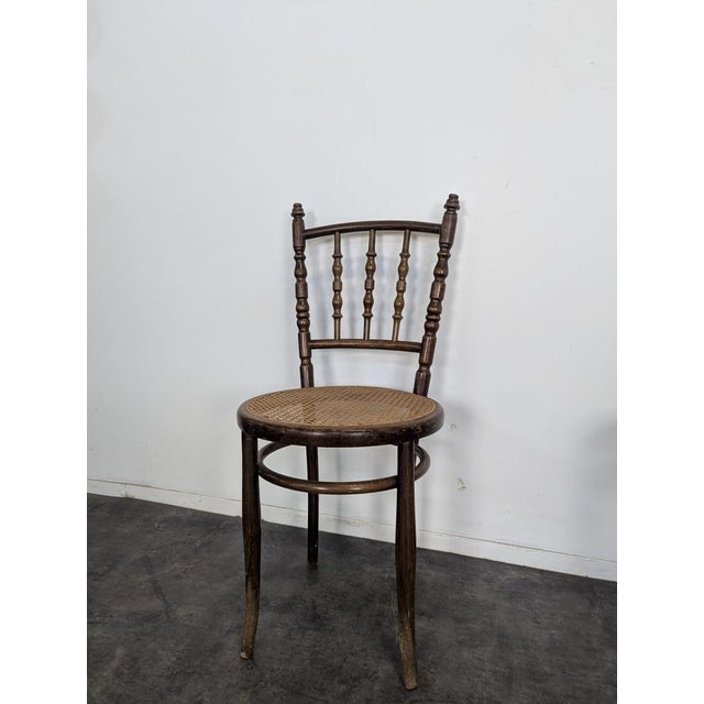 Dining Chairs in Wood from Thonet, Set of 4 For Sale - Image 4 of 7