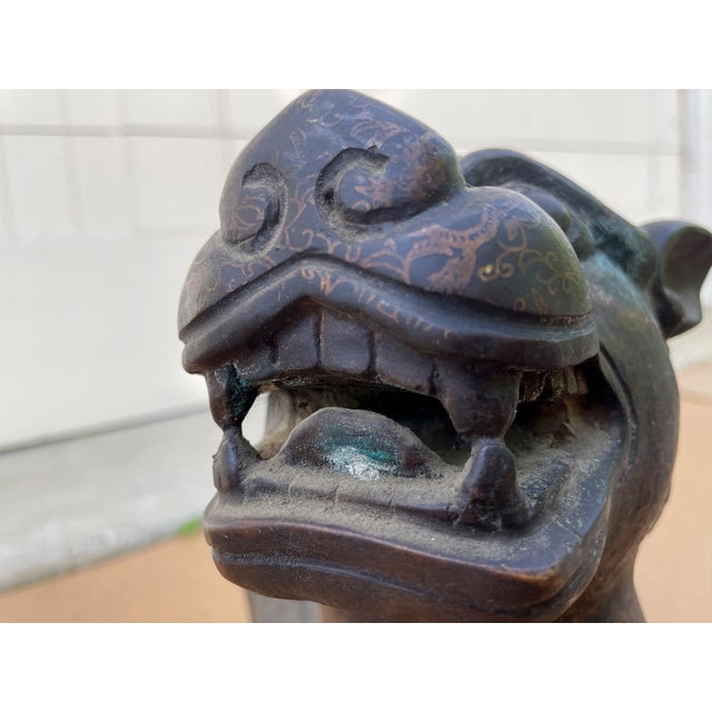 Bronze Bronze Guardian Lion or Foo Dog For Sale - Image 8 of 14