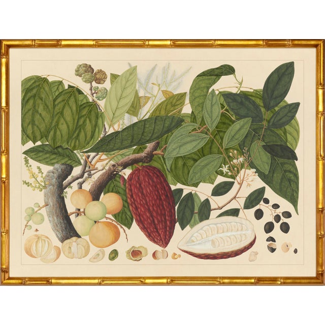 Group of Six Framed Tropical Botanicals in Bamboo Set #4 For Sale In Atlanta - Image 6 of 11