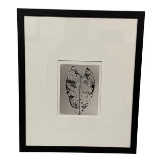 Circa 1992 Stefano Massei's "Jamaica" Leaf, Print For Sale