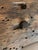 Antique 19th-Century Primitive Blue-Painted Carpenter's Workbench / Console Table For Sale - Image 10 of 13