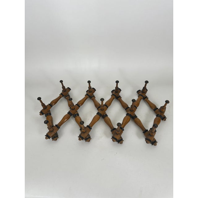 Late 19th Century Antique English Adjustable Hat/Coat/Wall Rack | Chairish