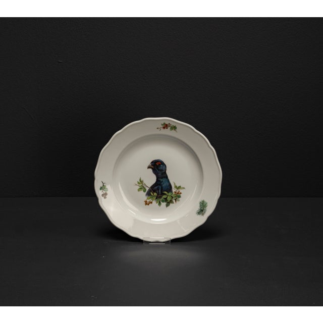 Boho Chic Vintage Hand-Painted Porcelain Plates with Animal Motifs from Meissen, 2010s, Set of 3 For Sale - Image 3 of 12