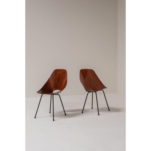 Wood Medea Chairs by Vittorio Nobili, Italy, 1955, Set of 6 For Sale - Image 7 of 17
