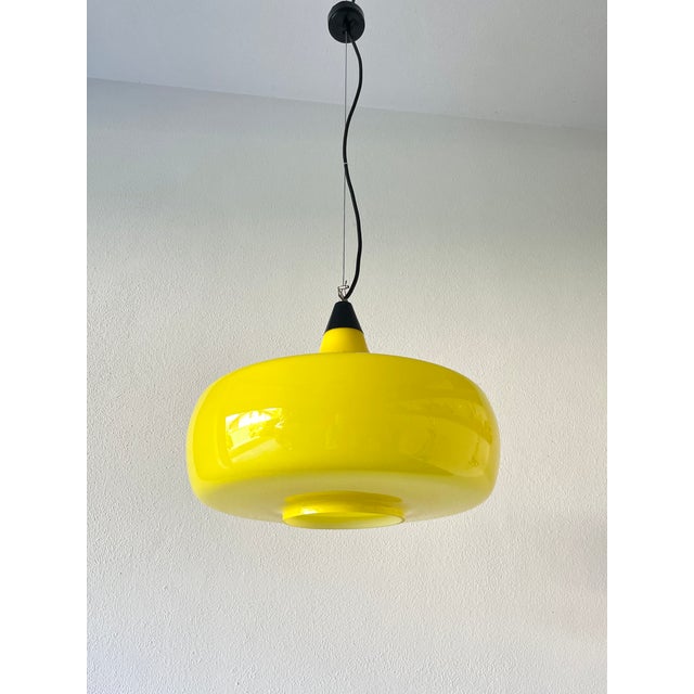 Mid-Century L114 Murano Ceiling Lamp by Oreste Vistosi and Peter Peltzel for Vetreria Vistosi, 1960s For Sale - Image 14 of 18