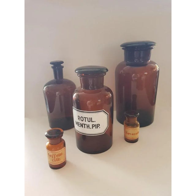 Vintage Convolut Pharmacist Bottles, Set of 5 For Sale - Image 4 of 5