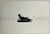 Bernhard Leitner, (Austrian, 1938) From a portfolio "Sound : Space" "Ton : Raum" Self published by artist in 1975/1976,...