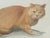 Watercolor Cat Portrait With Stamp Painting For Sale - Image 4 of 5