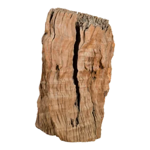 Antique Northern Thai Primitive Folk Teak Tree Trunk Planter