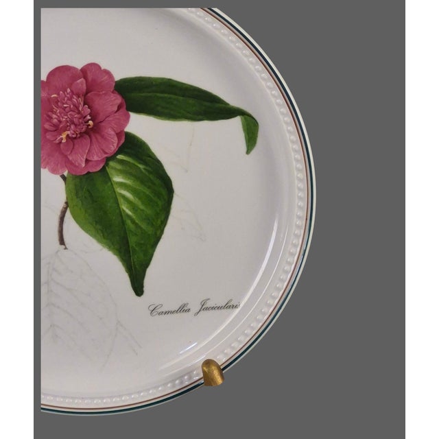 Mid-Century Modern Collectable Villeroy & Boch Floral Blush Pink Camelia Wall Plate 1994 For Sale - Image 3 of 8