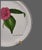 Mid-Century Modern Collectable Villeroy & Boch Floral Blush Pink Camelia Wall Plate 1994 For Sale - Image 3 of 8
