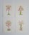 Palm Trees Modern Botanicals Paintings on Paper by Cynthia Geyer For Sale