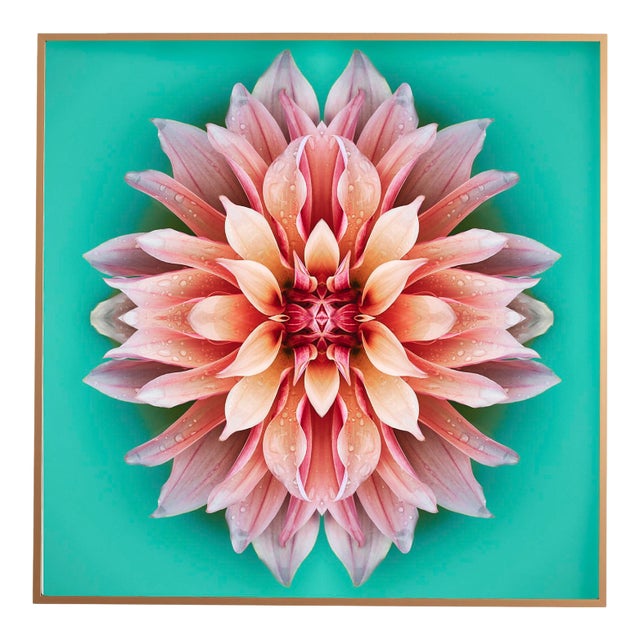 "No. 259" Contemporary Botanical Photograph by Erin Derby, Framed For Sale