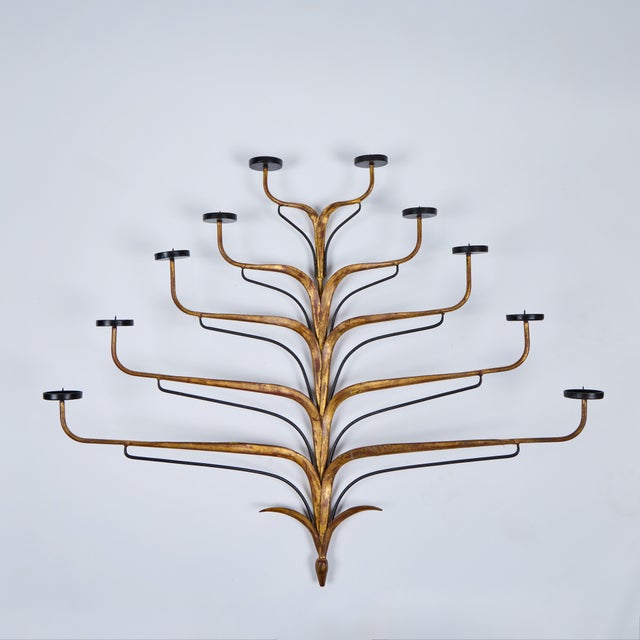 Striking wall mounted candelabra of gilt wrought iron depicting a leaf like design with 10 candelabras fanning out from a...