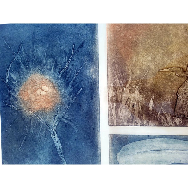 Maidy Morhous 1979 "Genesis" Bird Etching, Framed For Sale - Image 9 of 10