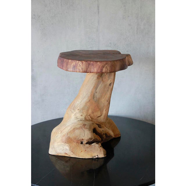 Rustic Late 20th Century Natural Tree Stump Side Table Made From Solid Cedar Roots. For Sale - Image 3 of 7