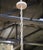 Mid-Century Italian Rococo Painted and Gilt Composition Six-Light Chandelier For Sale - Image 14 of 14