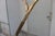 1970s Carlo Giorgi for Bottega Gadda 'Rabarbaro' Three-Leaf Floor Lamp For Sale - Image 11 of 18