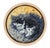 The Comfy Place by Deb Komitor | Oil On Birch Panel Painting of a resting black and white cat For Sale