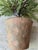 Plastic Pottery Barn Faux Artificial Cedar Cypress Evergreen Potted Plant Tree For Sale - Image 7 of 7
