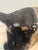 Black Early 20th Century French Paper Mâché French Bulldog Figure For Sale - Image 8 of 11
