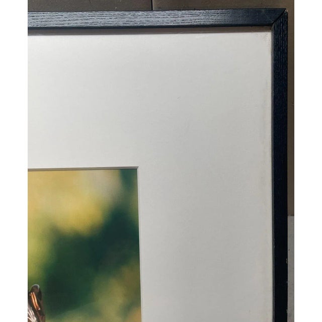 Carol Beckwith 'Surma Girls Painted as Twins, Ethiopia Chromogenic Photograph For Sale - Image 10 of 12