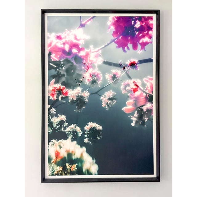 Drifting Blooms, Grey and Pink - Framed Fine Art Photography by Kristin Hart For Sale - Image 4 of 5