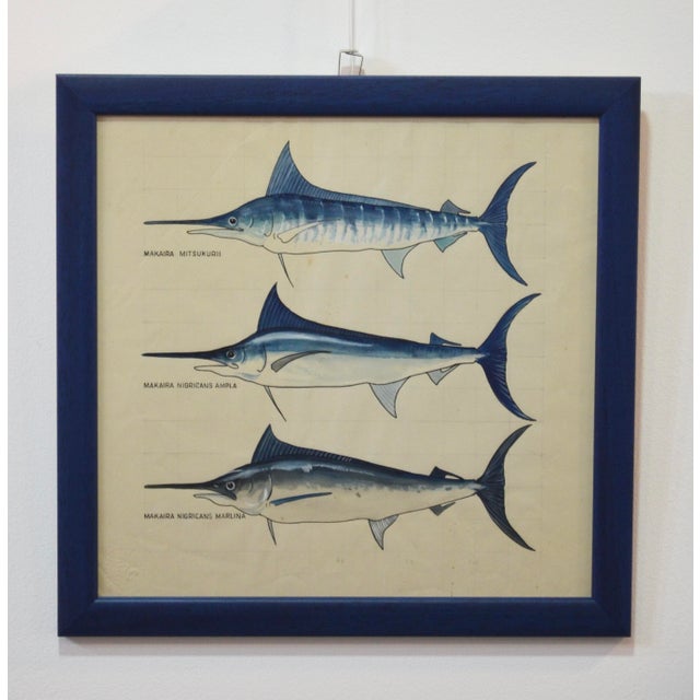 After Walter Stackpool, Marlin, 1970s, Gouache on Paper, Framed For Sale - Image 9 of 9