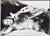 Christian Bauer, Nude, Rafi, 1990s, Ink & Pencil For Sale - Image 3 of 11