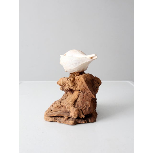 Mid-Century Burl Wood Shell Candle Sculpture For Sale - Image 4 of 12