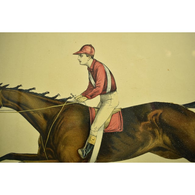 The Great Racing Crack Hindoo, by Virgil, Dam Florence, by Lexington Reproduction For Sale - Image 4 of 7