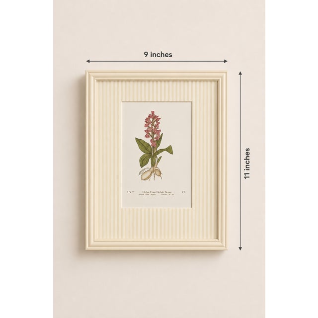 Set of Twelve Antique Alpine Botanical Chromolithographs Circa 1909 in Custom Frames. For Sale - Image 13 of 15