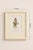 Set of Twelve Antique Alpine Botanical Chromolithographs Circa 1909 in Custom Frames. For Sale - Image 13 of 15