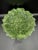 Add timeless Italian charm to your table with this beautiful vintage **Italian Majolica Leaf Pedestal Compote Cake...