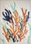 2026, Illustration Botanics, Coral Reef Duo, Modern Seascape Painting on Watercolor Paper For Sale - Image 4 of 10