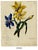 Leopold Billek, Hunting Forest Map, 1800s, Paper For Sale - Image 6 of 8