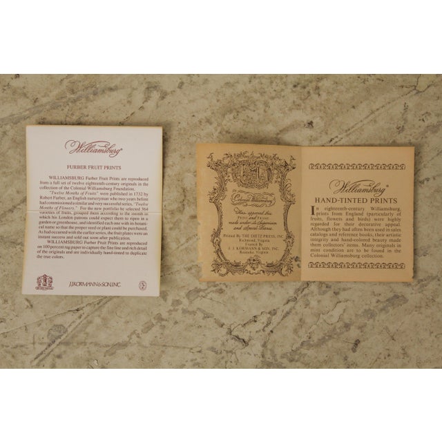 Colonial Williamsburg Dietz Press Botanical Print January Chairish