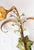 Italian Metal Wall Sconces with Flowers and Tulips, 1980s, Set of 2 For Sale - Image 3 of 10