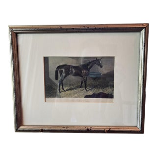 Hand Colored Equestrian Engraving Circa 1818 For Sale